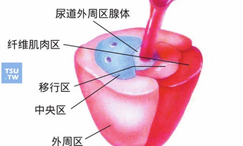 红豆吃多了的副作用吗网 | 红豆吃多了会出现什么问题,红豆吃多了的副作用吗会胖吗